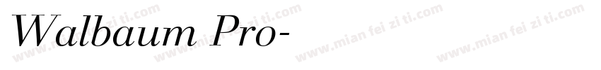 Walbaum Pro字体转换
